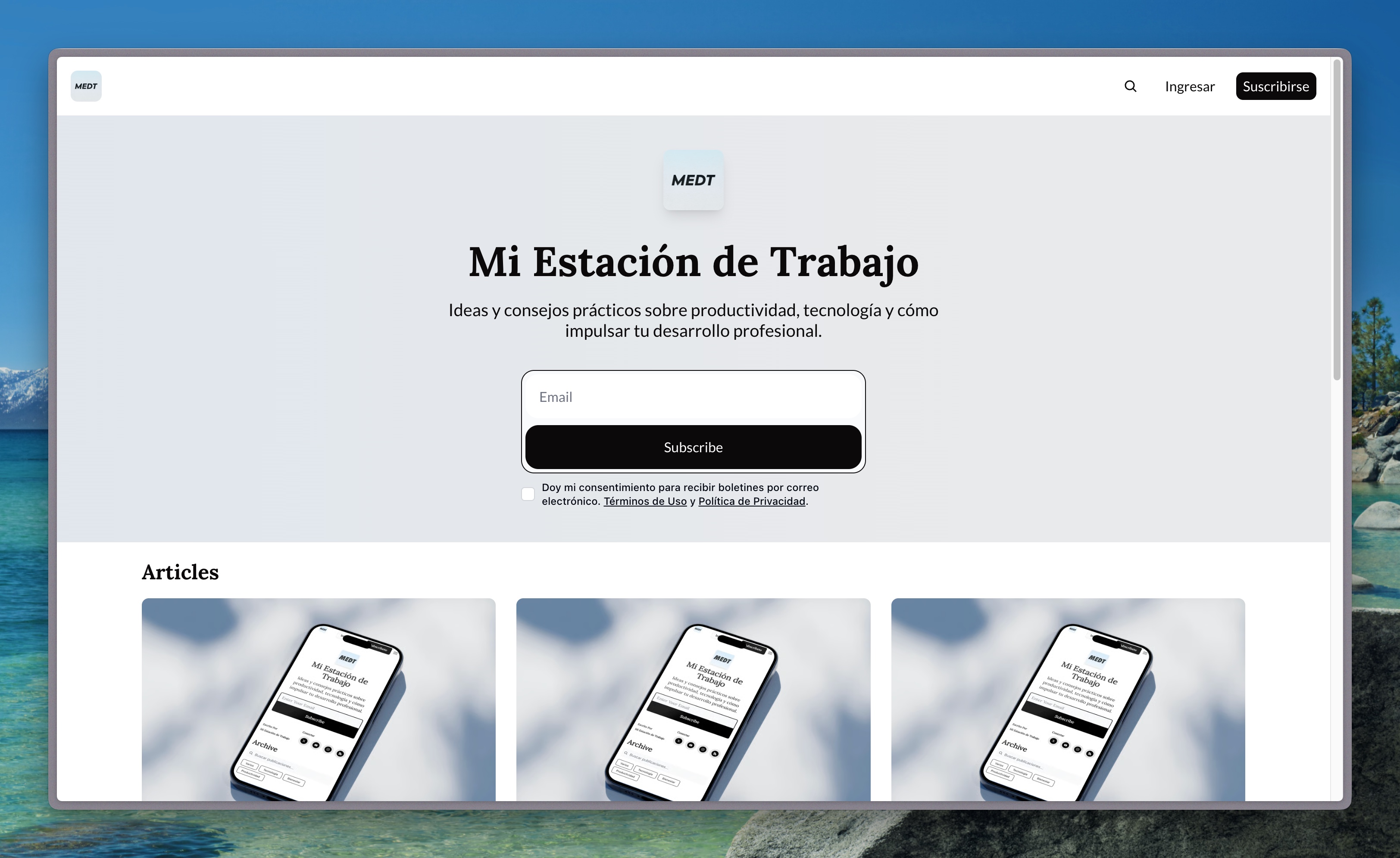 Newsletter Mi Estación de Trabajo